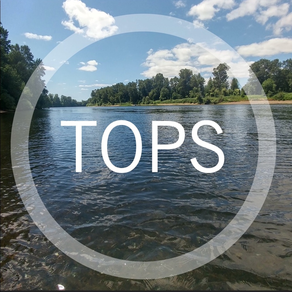 Shirts Blouses Tops in Various Sizes XS S M L Plus